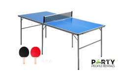 Ping Pong Table